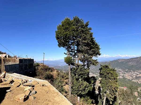 Himalayan View 4